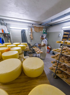 Käse vorbereiten für Lagerung
